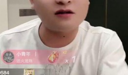 二子爷爆料家产视频大全,视频大全背后的惊人真相